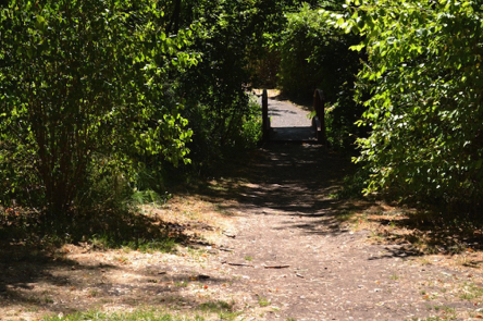 The suggested route continues through a natural foliage tunnel
